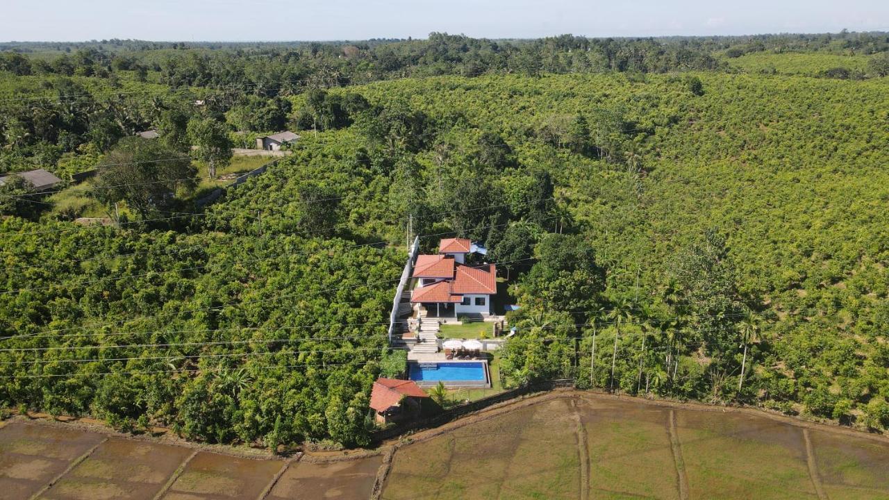 Peaceful Villa With Pool Near Hikkaduwa 앰발랑고다 외부 사진